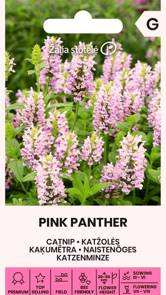 Котовник полусидячий "Розовая пантера"